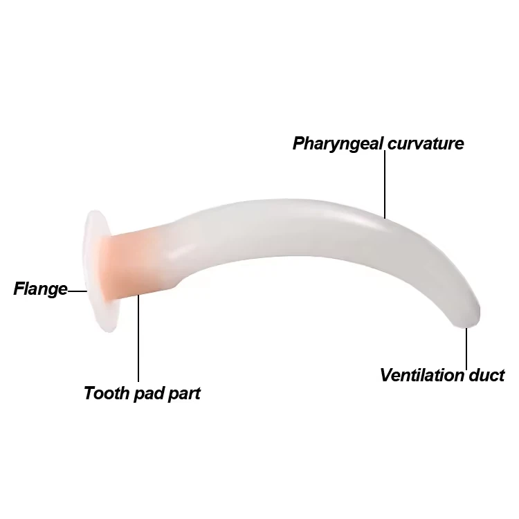 Artificial Oral Airway Supplier